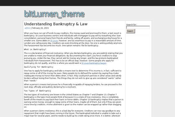 bitLumen theme site design template sample