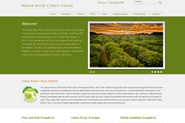 PureVISION theme site design template sample