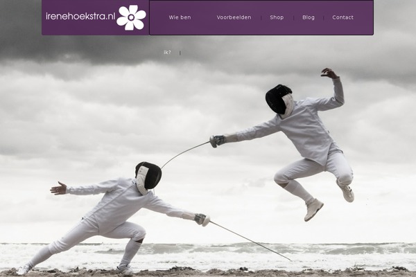 Picasso theme site design template sample
