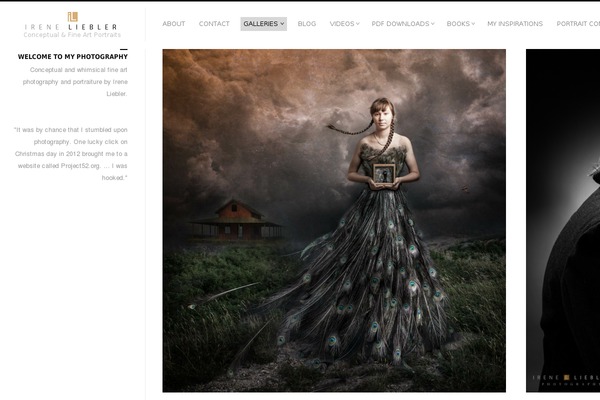 Site using Visual-portfolio plugin
