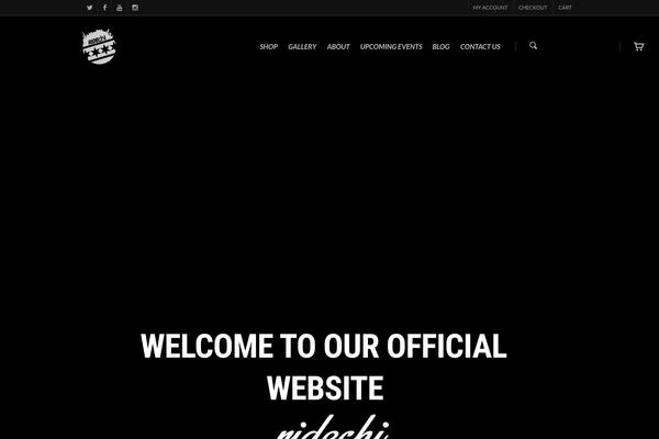 Salient theme site design template sample