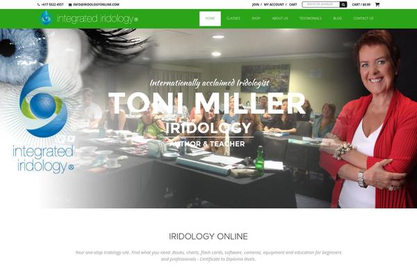 Big Point theme site design template sample