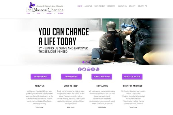 Interface theme site design template sample