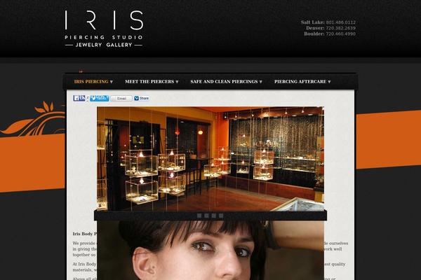 Tarnished theme site design template sample