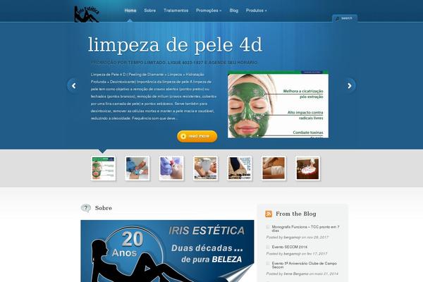 TheCorporation theme site design template sample