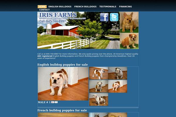 Layout theme site design template sample