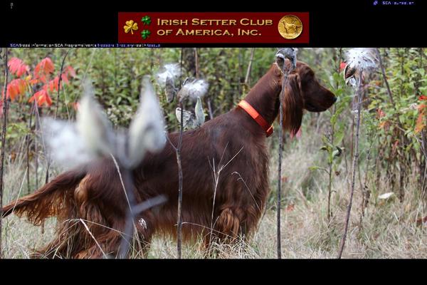 Site using s2Member Framework (Member Roles, Capabilities, Membership, PayPal Members) plugin