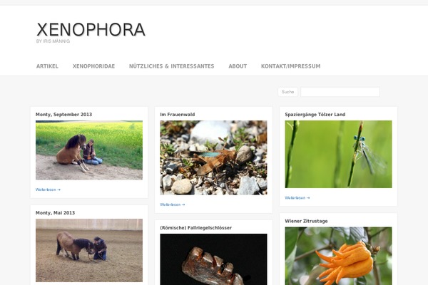 Site using Image Magnify plugin