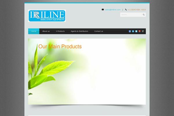 Blue Diamond theme site design template sample