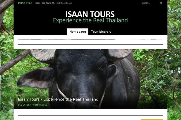 Rigel theme site design template sample