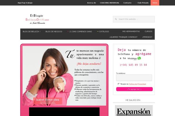 Metro Pro theme site design template sample