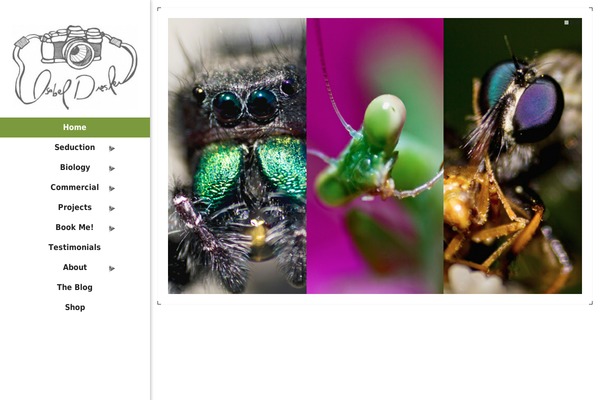 Example theme site design template sample