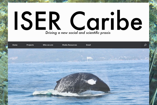 Site using AGP Font Awesome Collection plugin