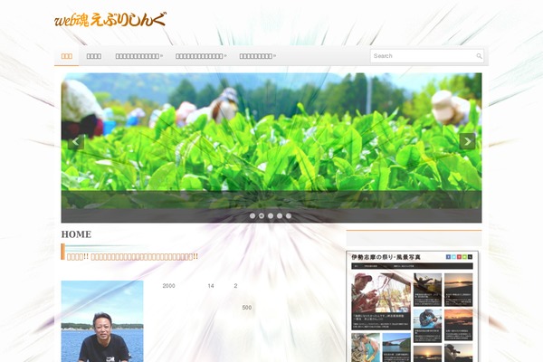 isesima.info site used Diell