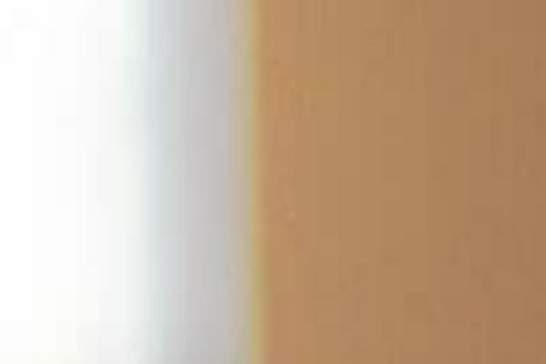 Reception theme site design template sample