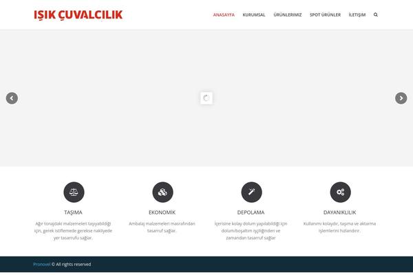 Richer theme site design template sample