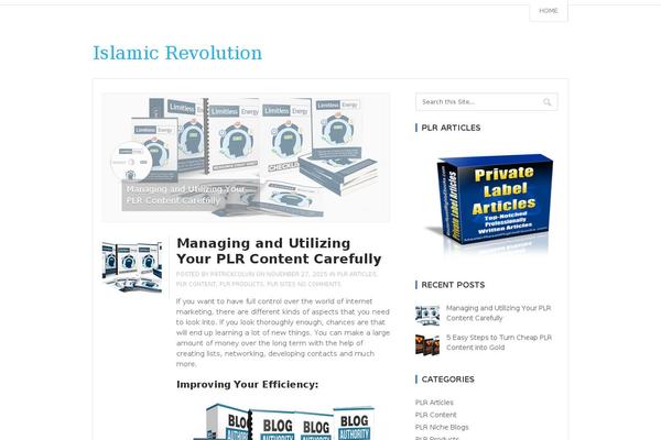 Top theme site design template sample