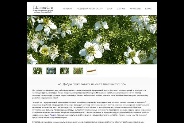 islammed.ru site used Dandelion_v2.1