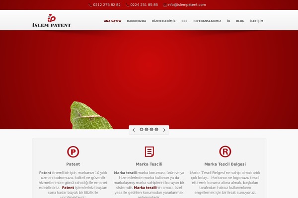 Bulsarah theme site design template sample