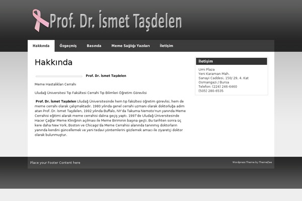 zeeSynergie theme site design template sample