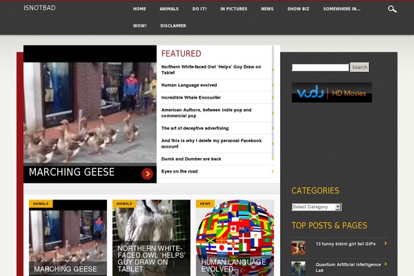 Site using WORDPRESS VIDEO GALLERY plugin