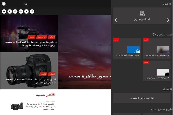 Common theme site design template sample