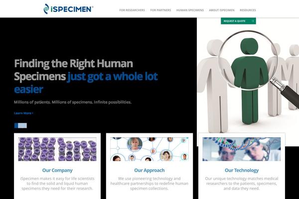 Custom Theme theme site design template sample
