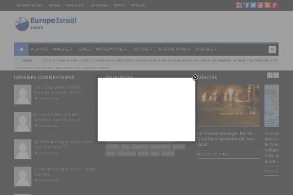 Ashe theme site design template sample