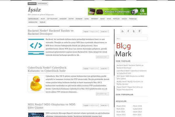 Bisade theme site design template sample