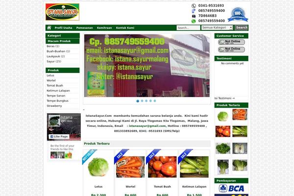 Wptoko theme site design template sample