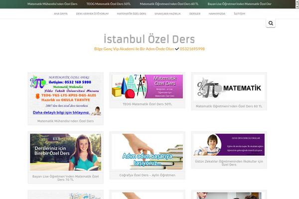 Inkzine theme site design template sample