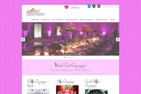 Site using Cyclone Slider plugin