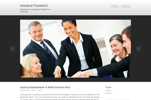 Business lite theme site design template sample