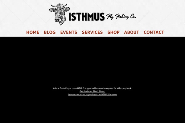 iPin Pro theme site design template sample