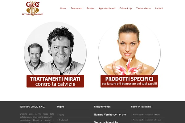 Incredible Wp theme site design template sample