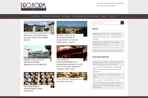Playbook theme site design template sample