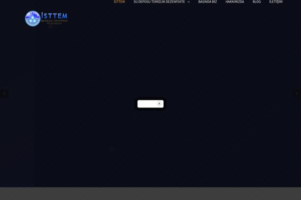 Avada theme site design template sample
