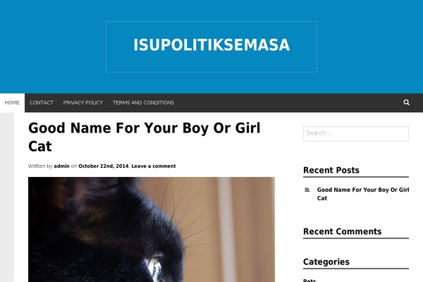 Simone theme site design template sample