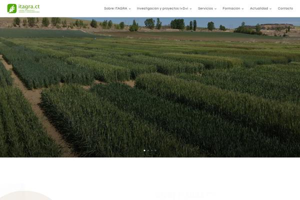 Site using Divi-machine plugin