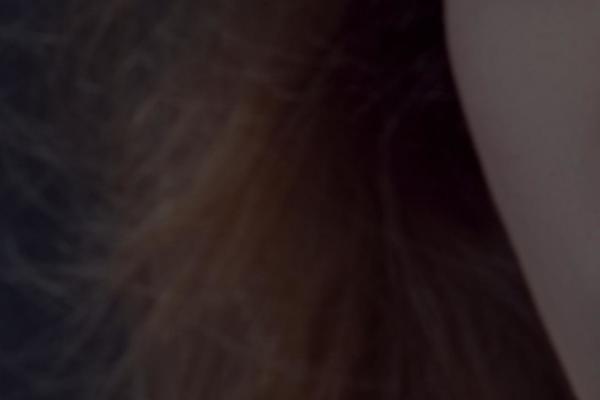Norris theme site design template sample