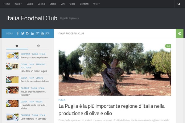 ColorMag theme site design template sample