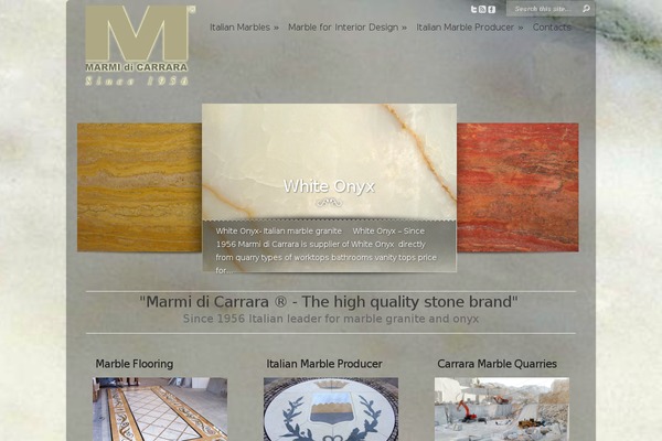 Chameleon theme site design template sample