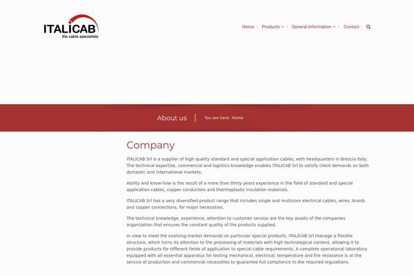 Wiz-child theme site design template sample