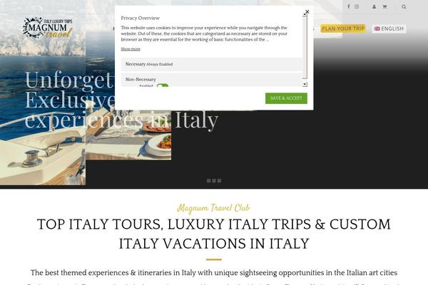 Site using Wpml-translation-management plugin