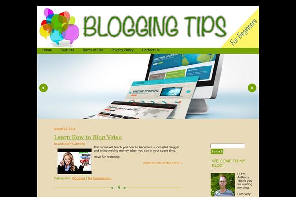 itbloggingtime.com site used Organik