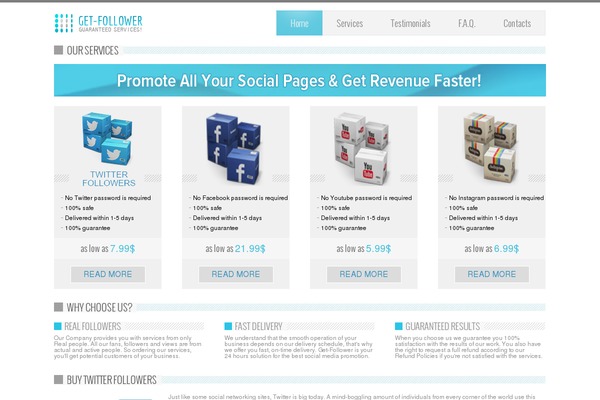 follower theme websites examples