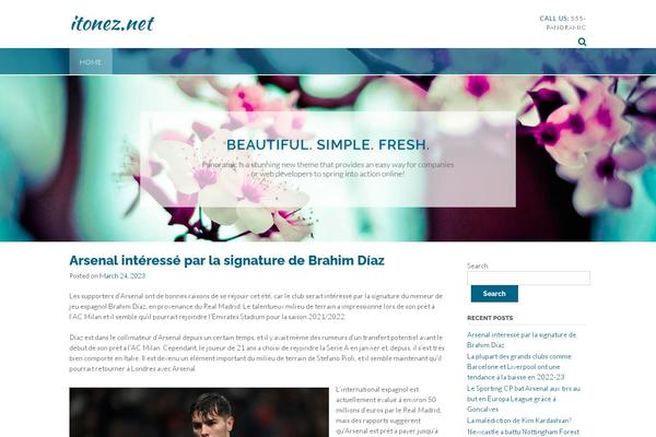 Panoramic theme site design template sample