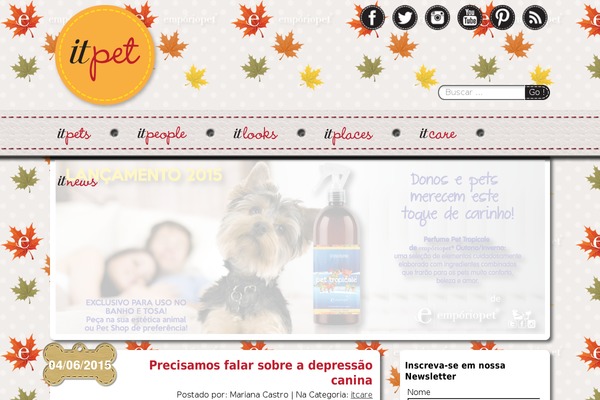 Site using Lightweight Grid Columns plugin