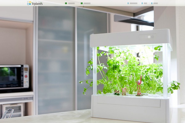 Site using Arconix Portfolio plugin