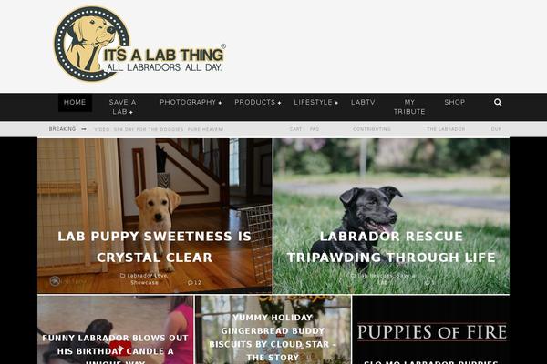 Valenti theme site design template sample